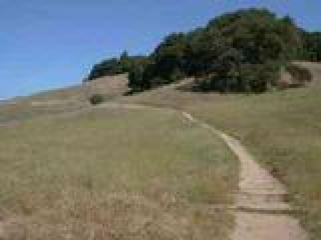 Through grassland