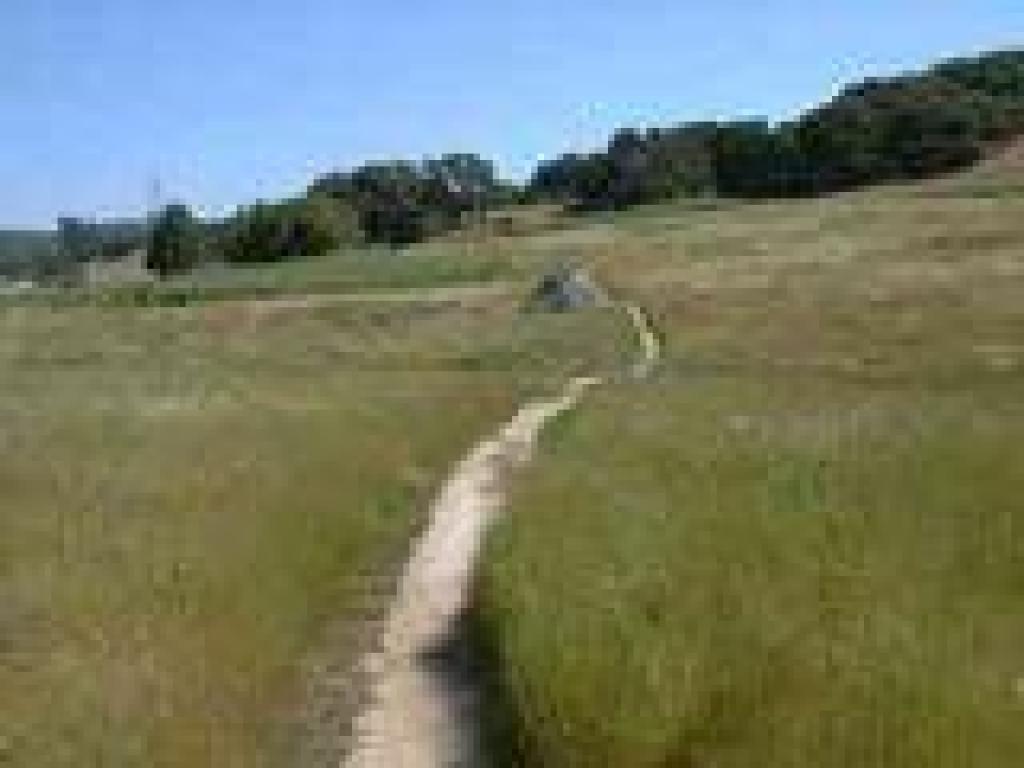 Narrow trail