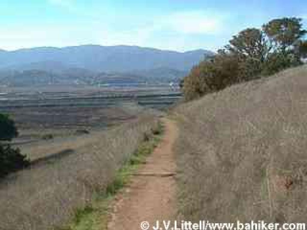 Deer Island Loop Trail