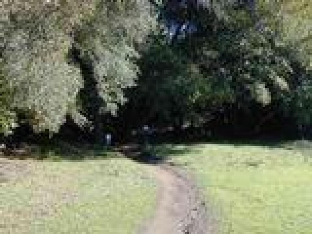 Starting Deer Park Trail