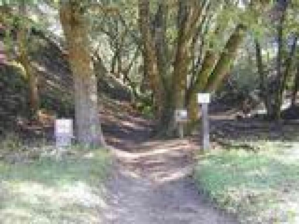 Trail