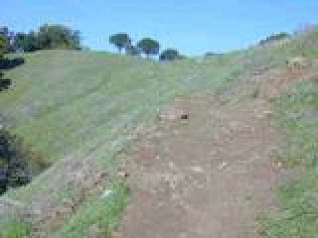 Deer Park Trail