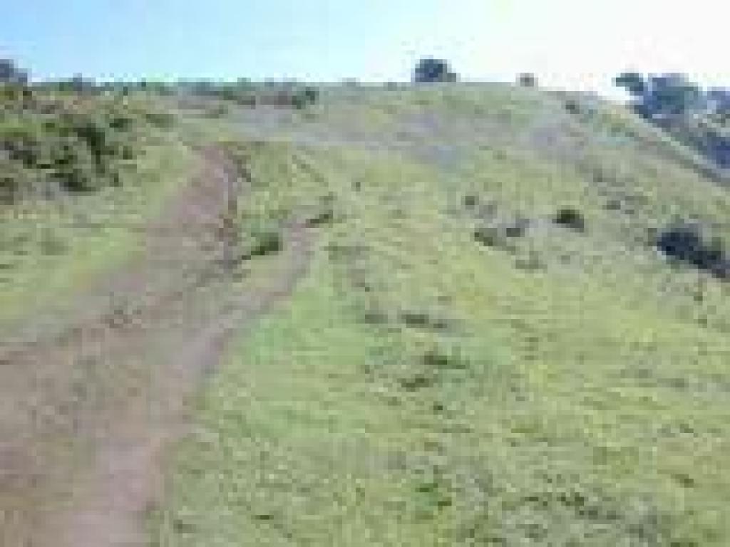 Junction
