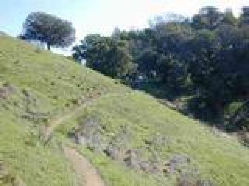 Buckeye Trail