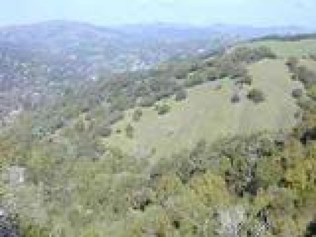 View north