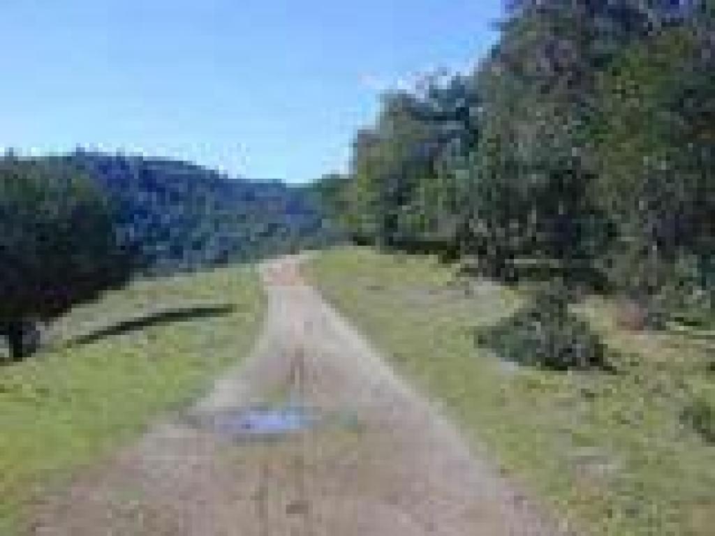 Bald Hill Trail