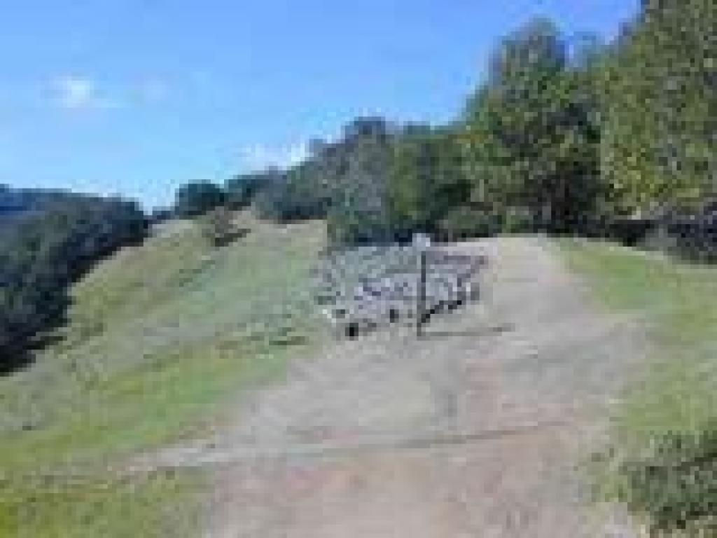 Sunny stretch of trail