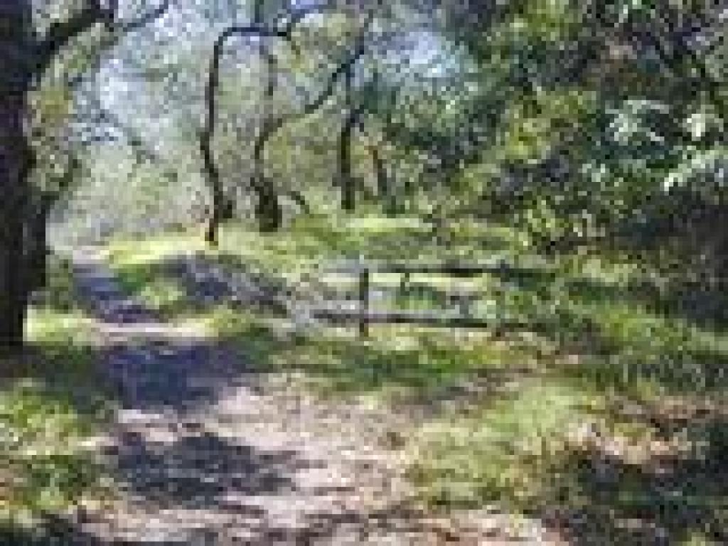 Trail reroute