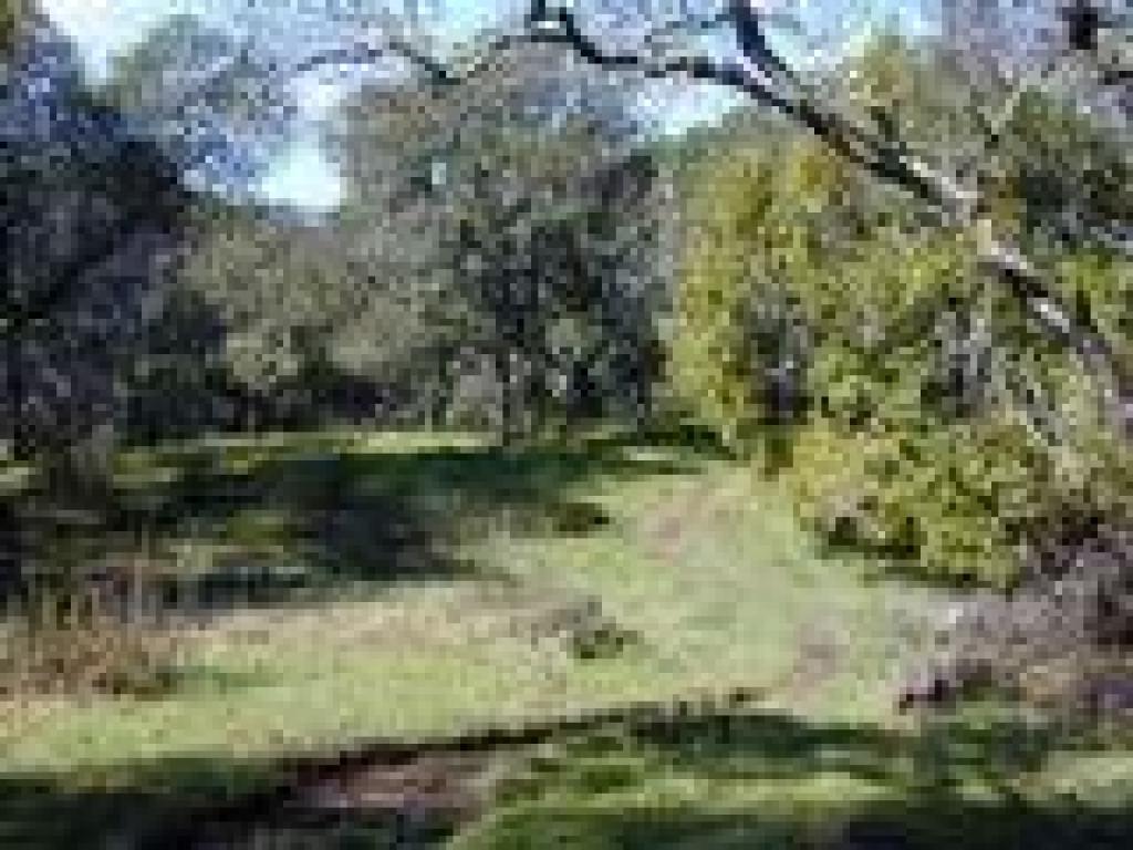 Bald Hill Trail