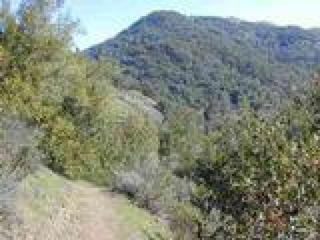 Trail and view