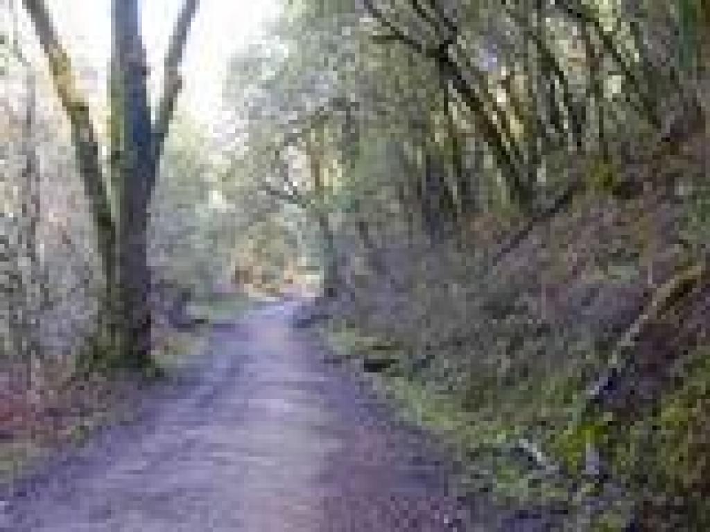 Deer Park Fire Road