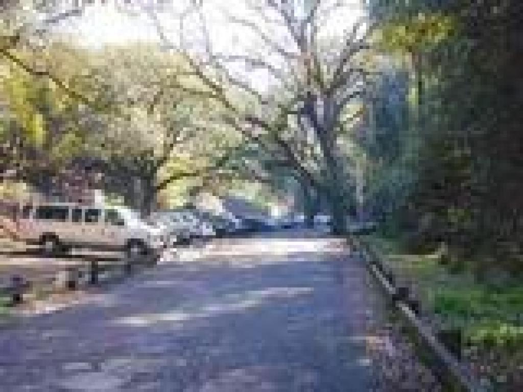 Trailhead