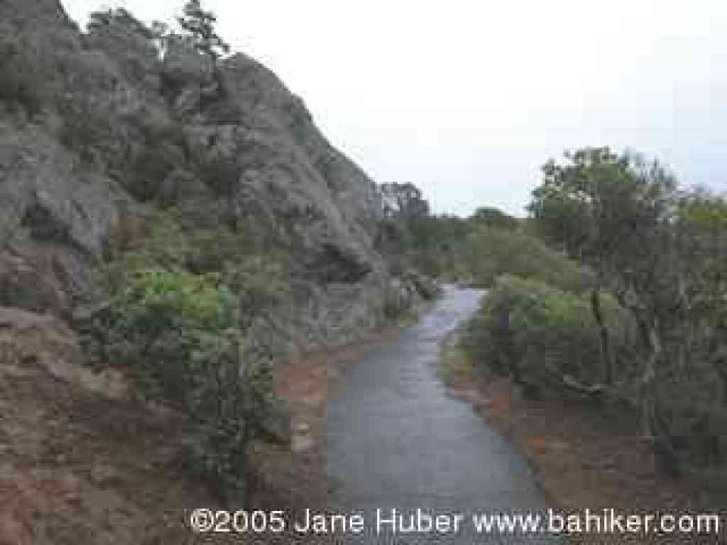 Verna Dunshee Trail