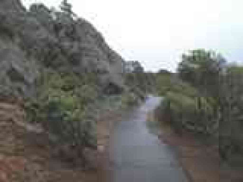 Verna Dunshee Trail