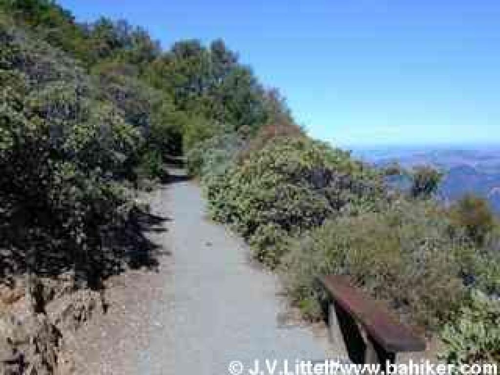 Verna Dunshee Trail
