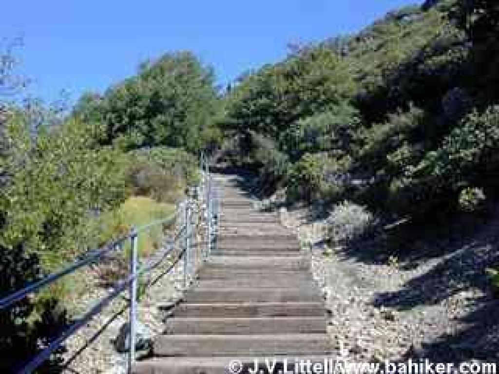 Steps on Plankwalk Trail