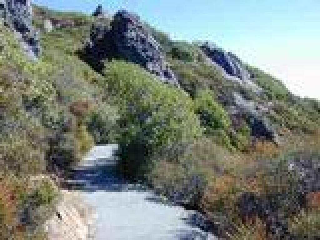 Verna Dunshee Trail