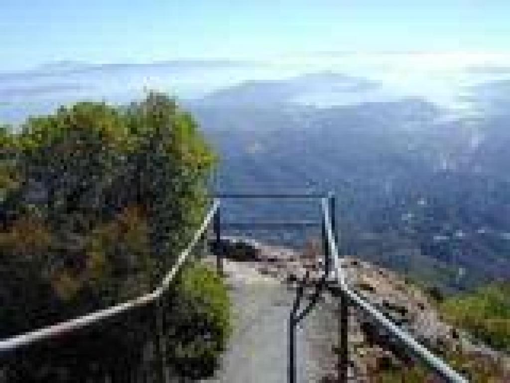 Viewpoint