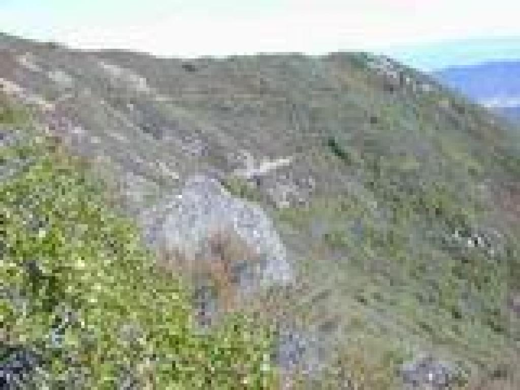 Temelpa Trail is visible