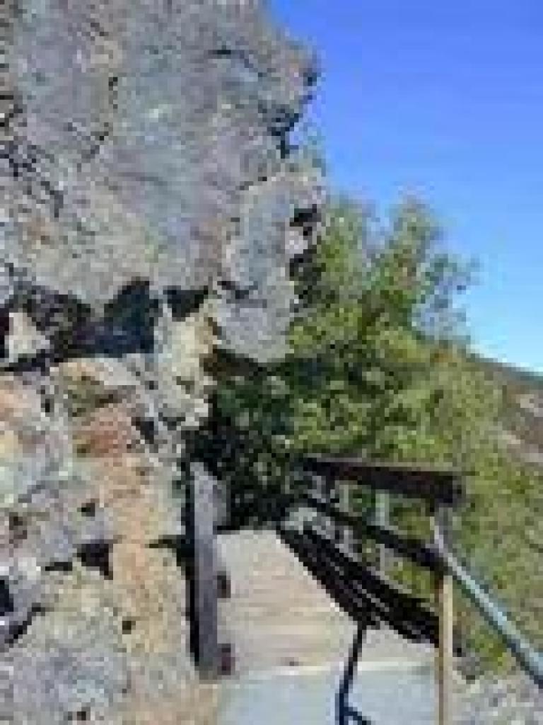 Bridge