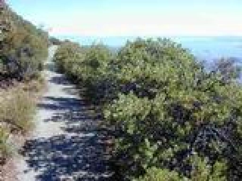 Verna Dunshee Trail