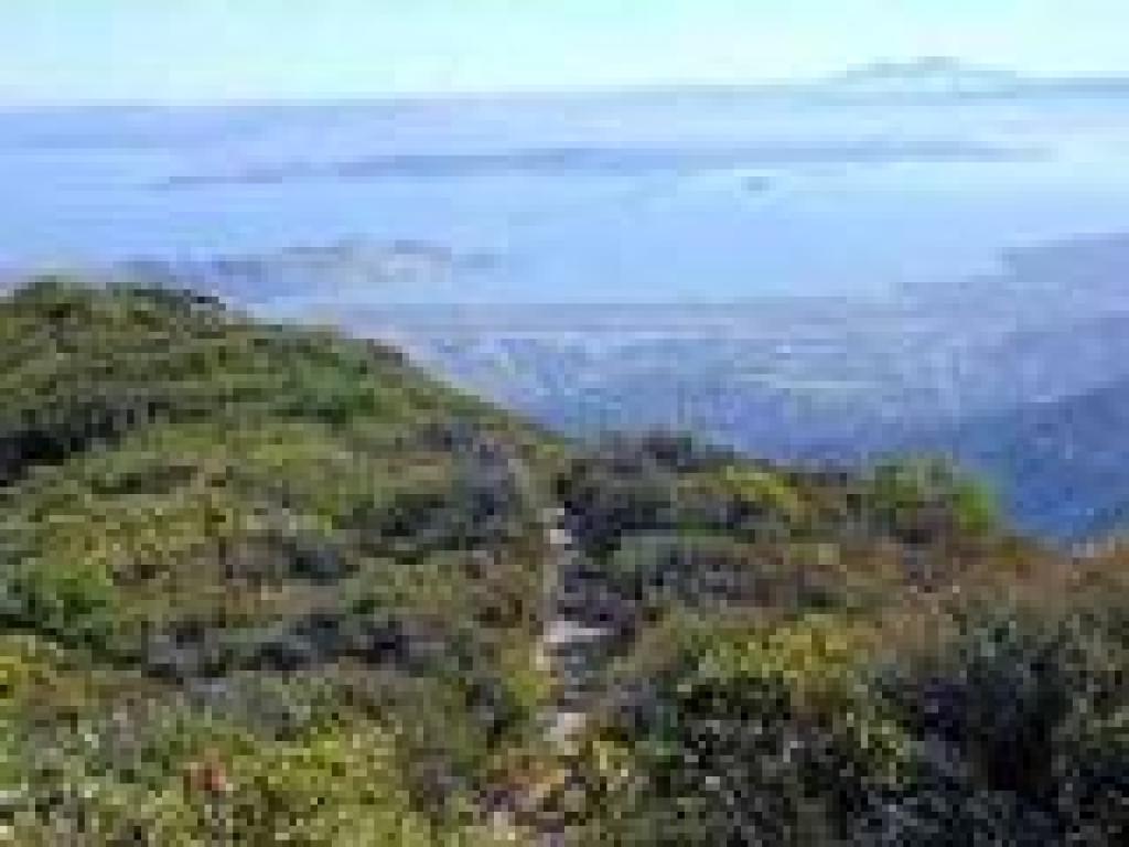 Side path and view