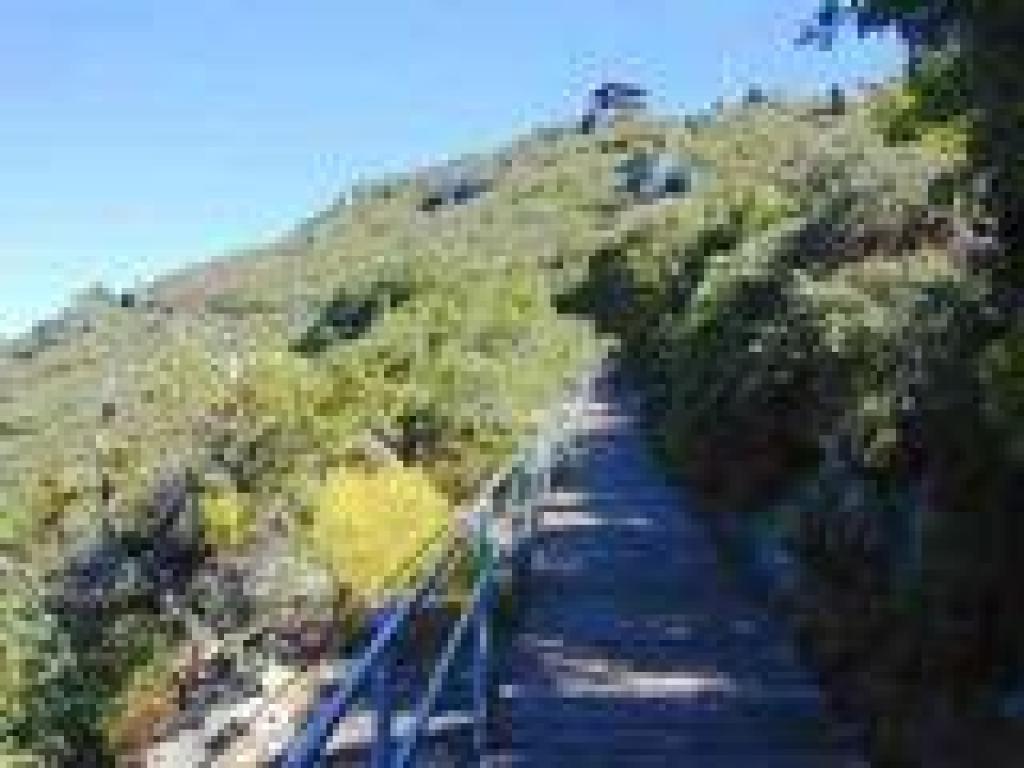 Beginning of Plankwalk