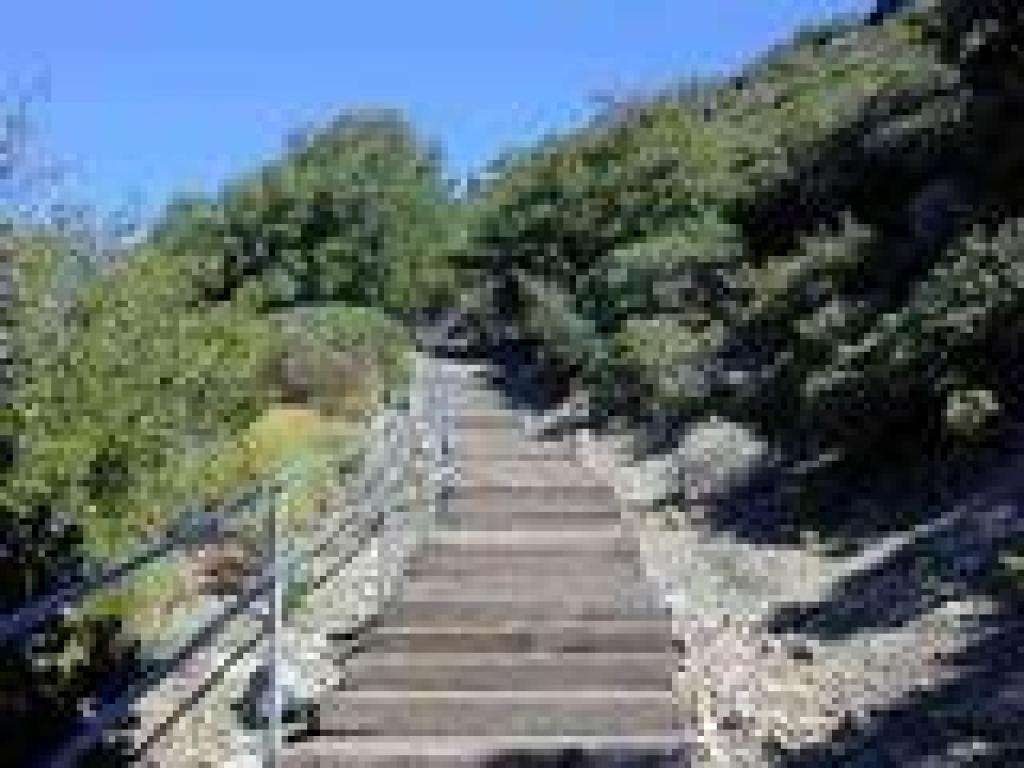 Steps