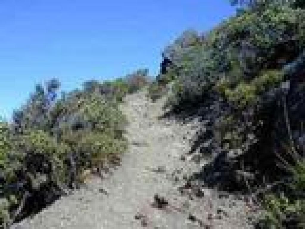 A rocky path leads the rest of the way to the top