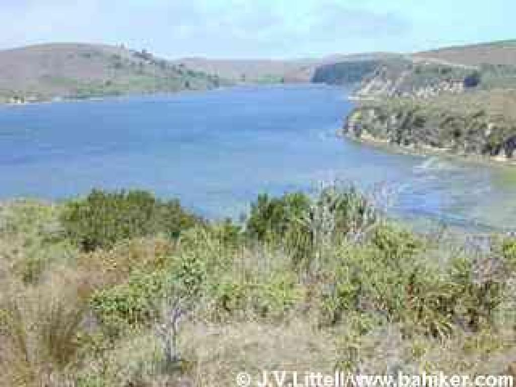 View north of Drakes Estero