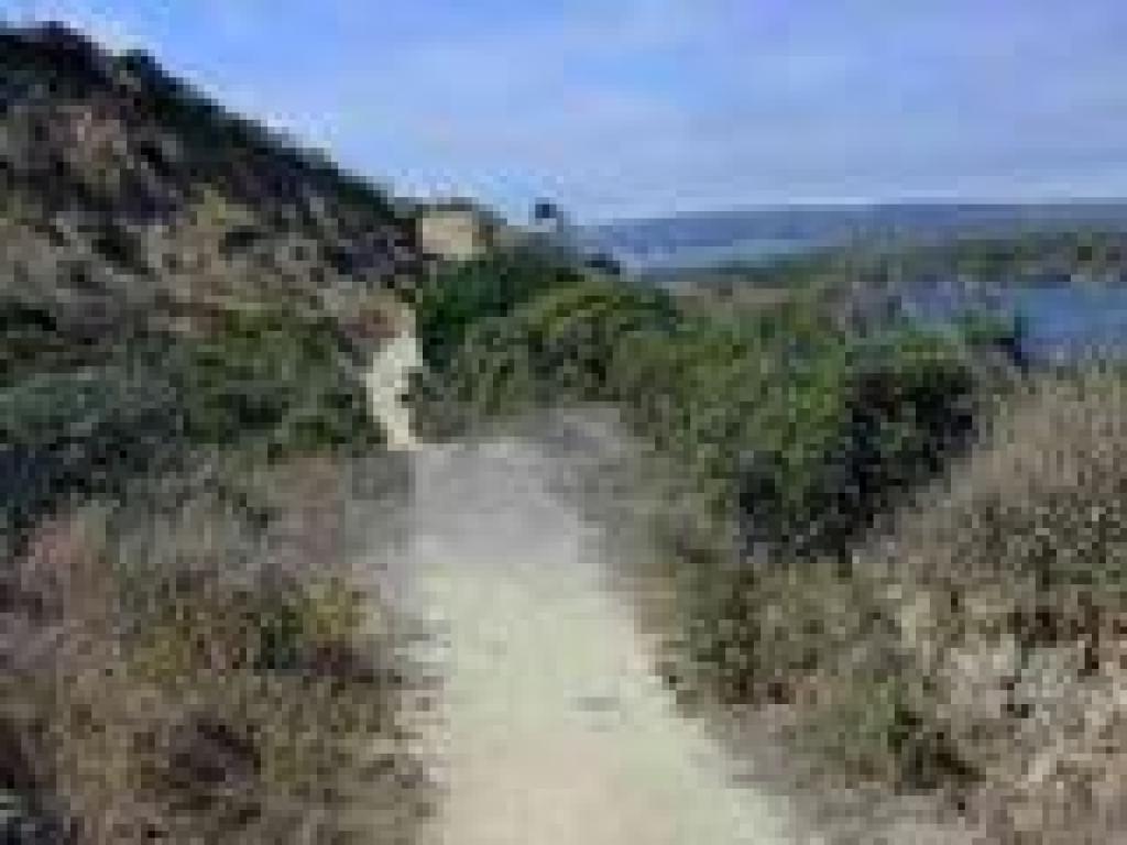 Near the slide area