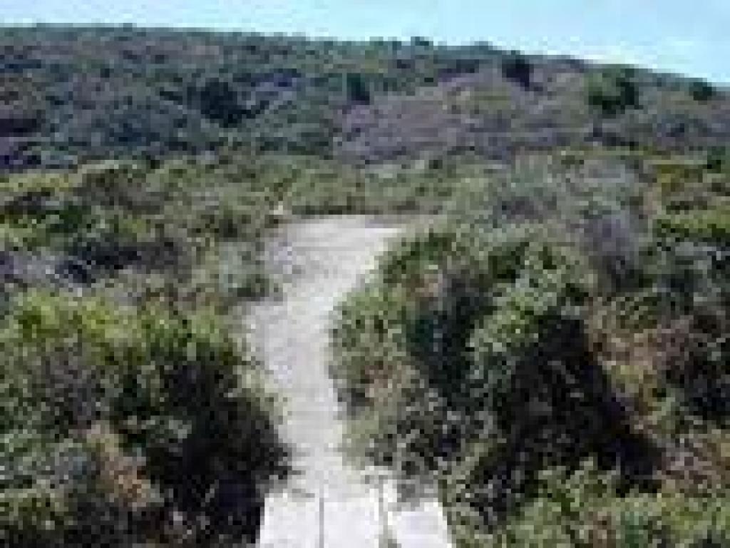 Bridge and ascent