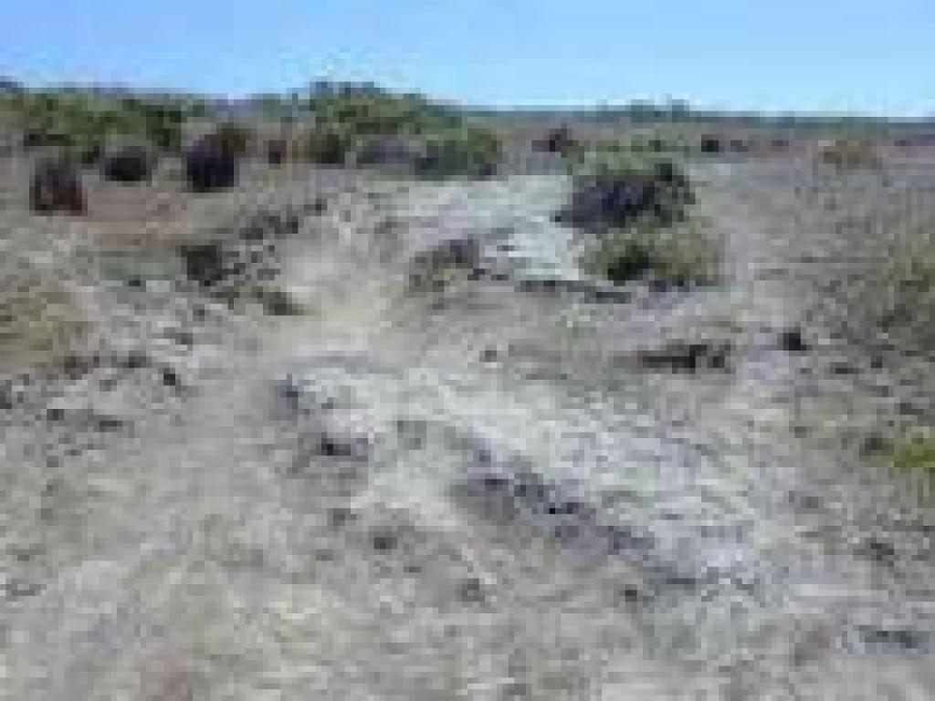 Rutted trail