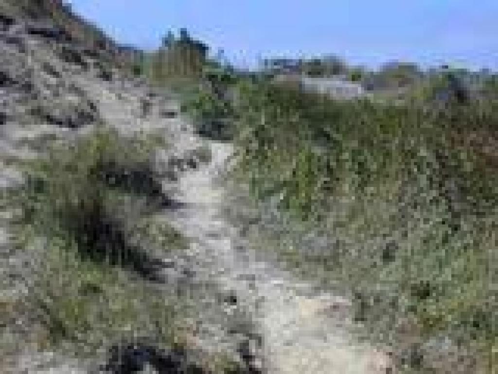 This area is muddy in winter