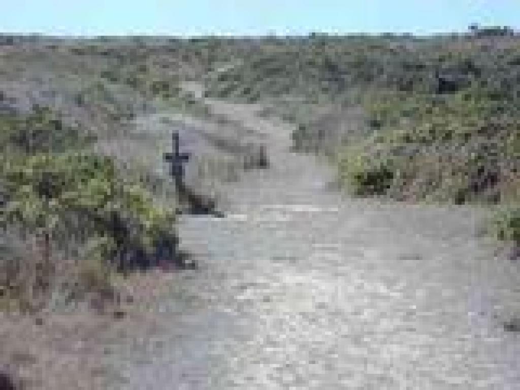 Junction