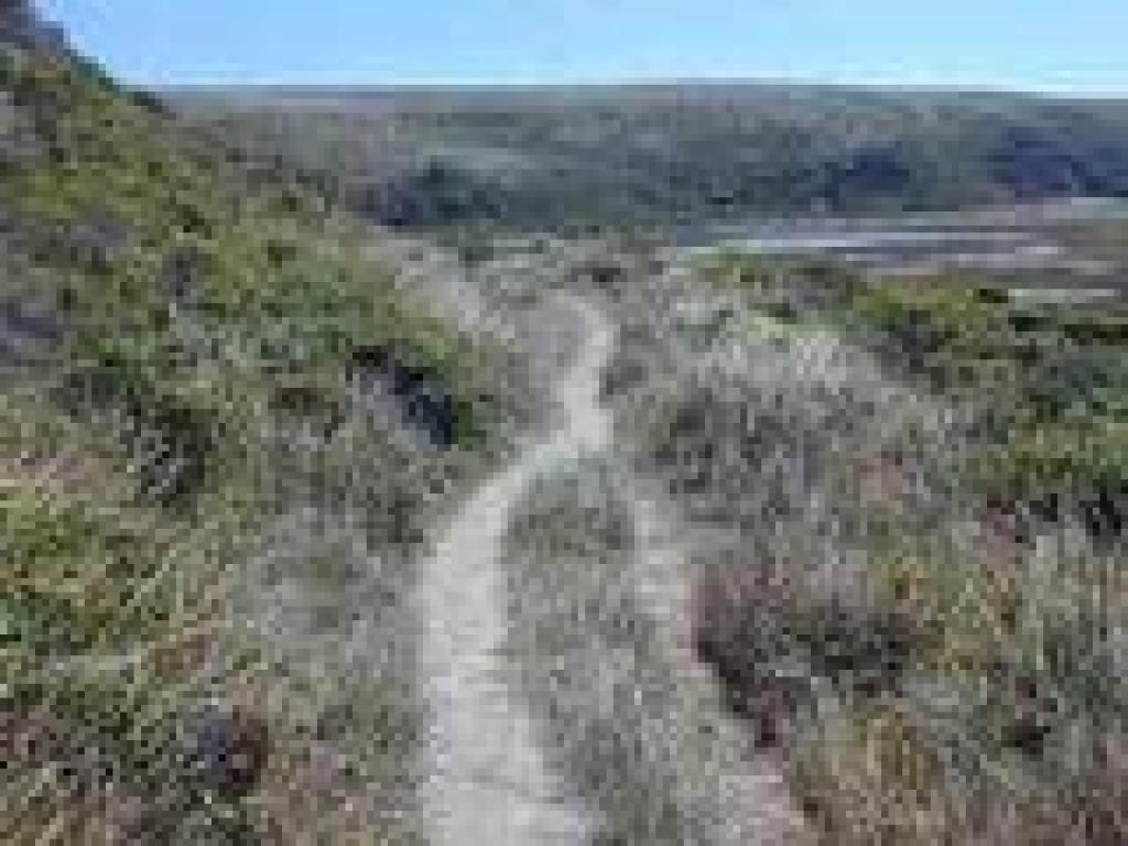 Trail narrows