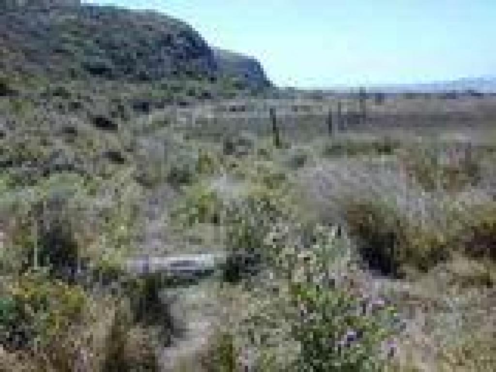 A path continues to the south