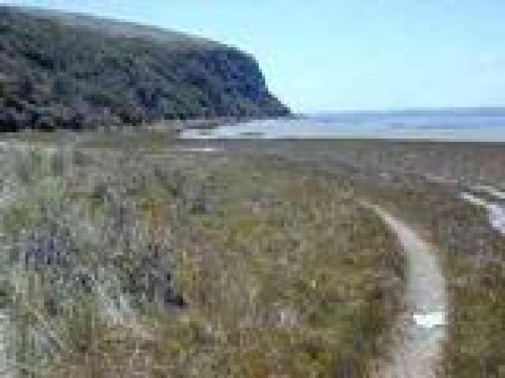 Path