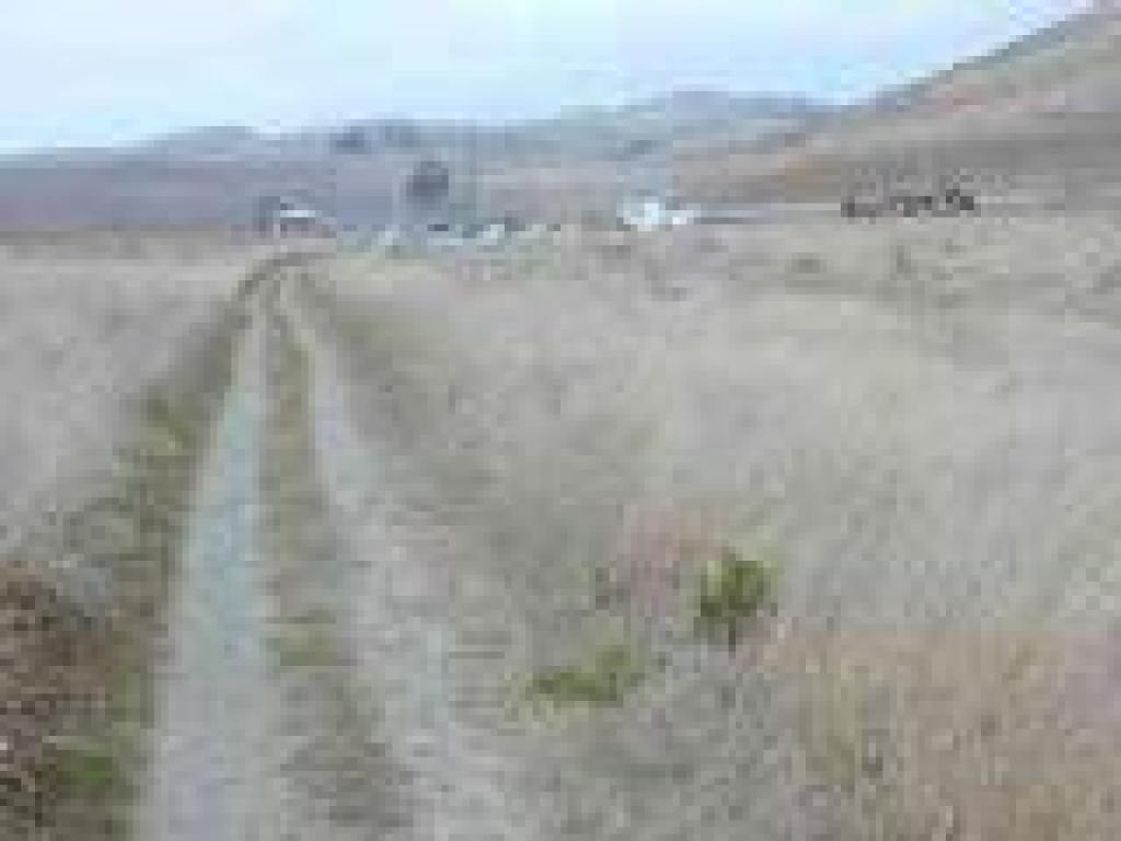 Return, the trailhead visible