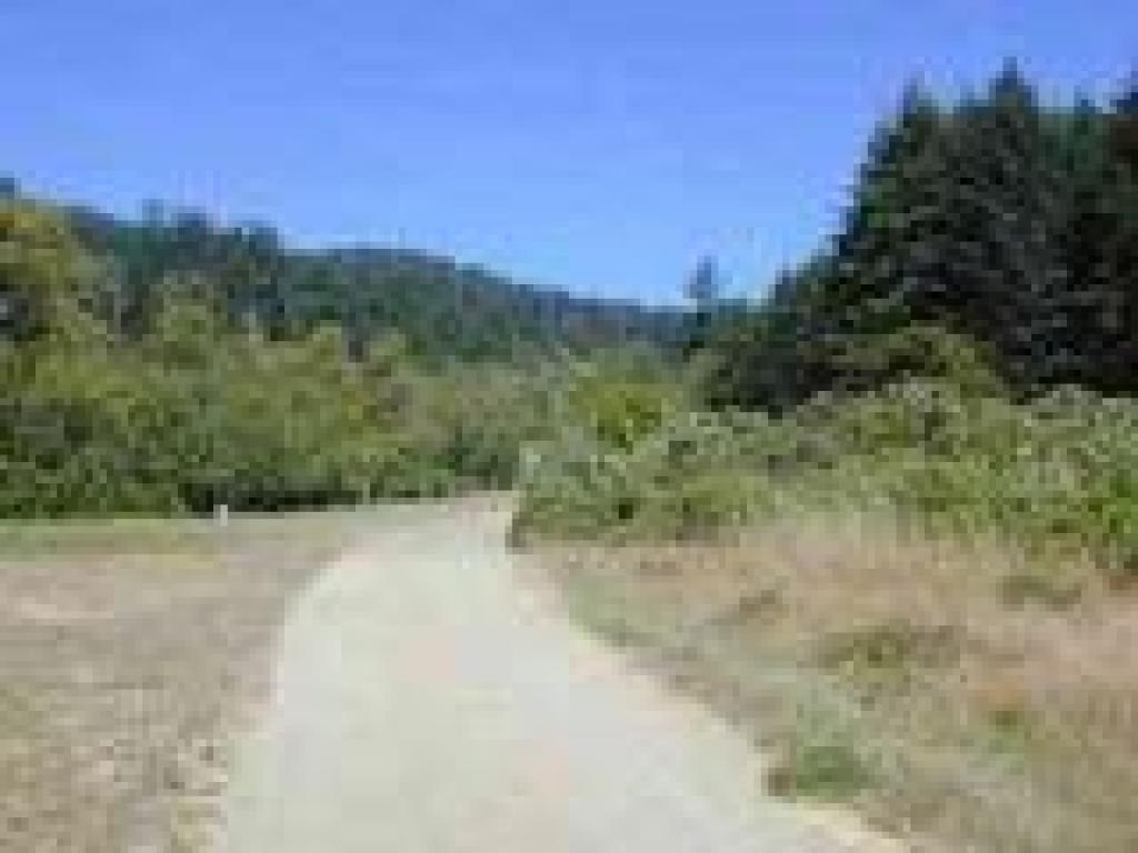 Trail