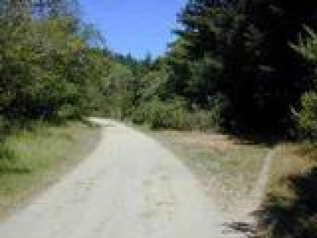 Junction