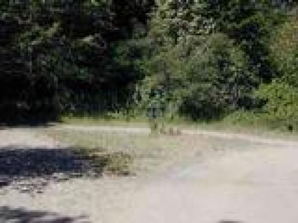 Junction