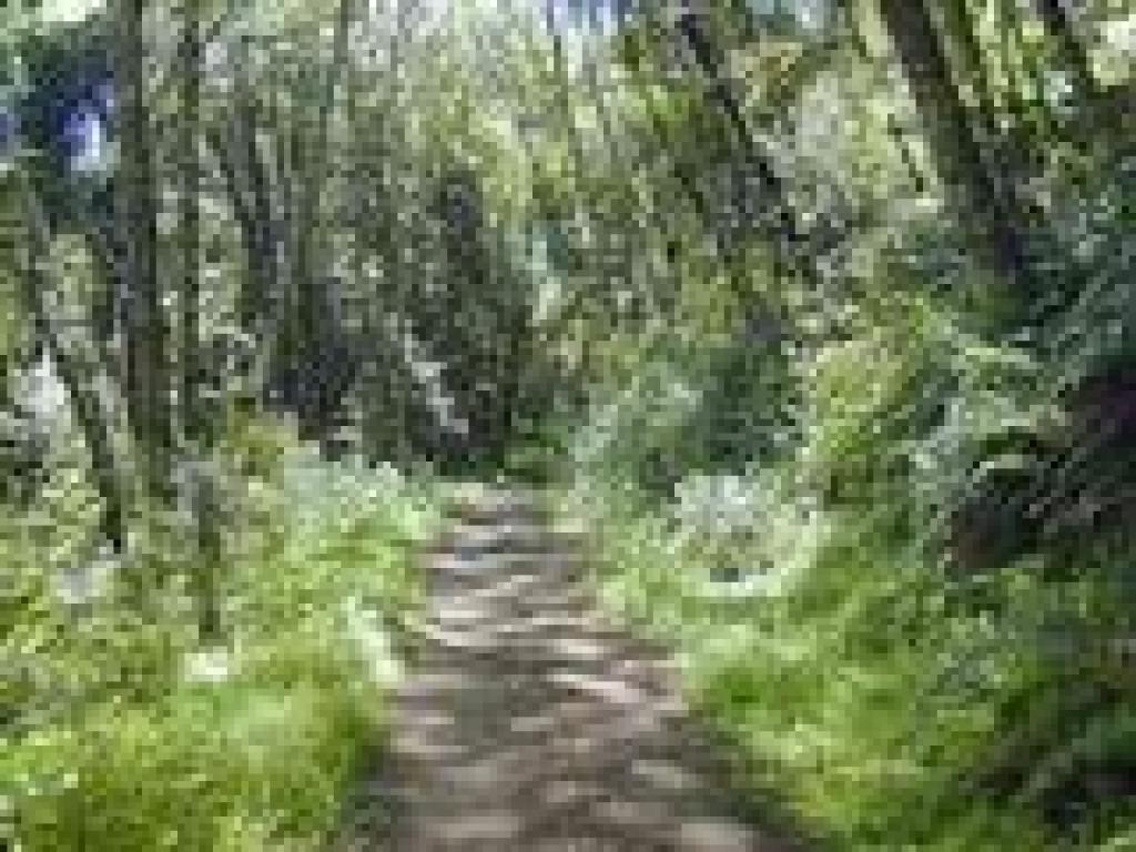 Olema Valley Trail