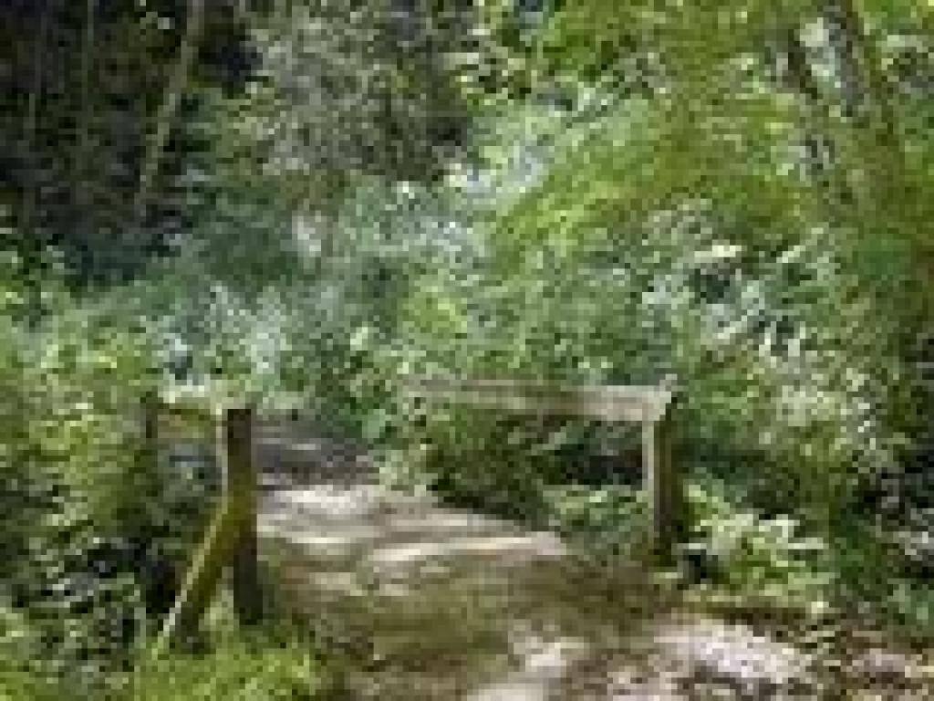 Bridge