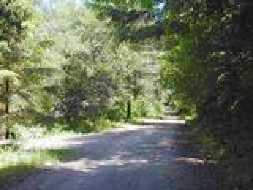 Junction