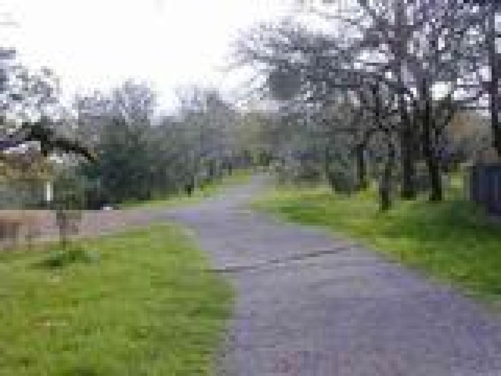 Approaching pond 1