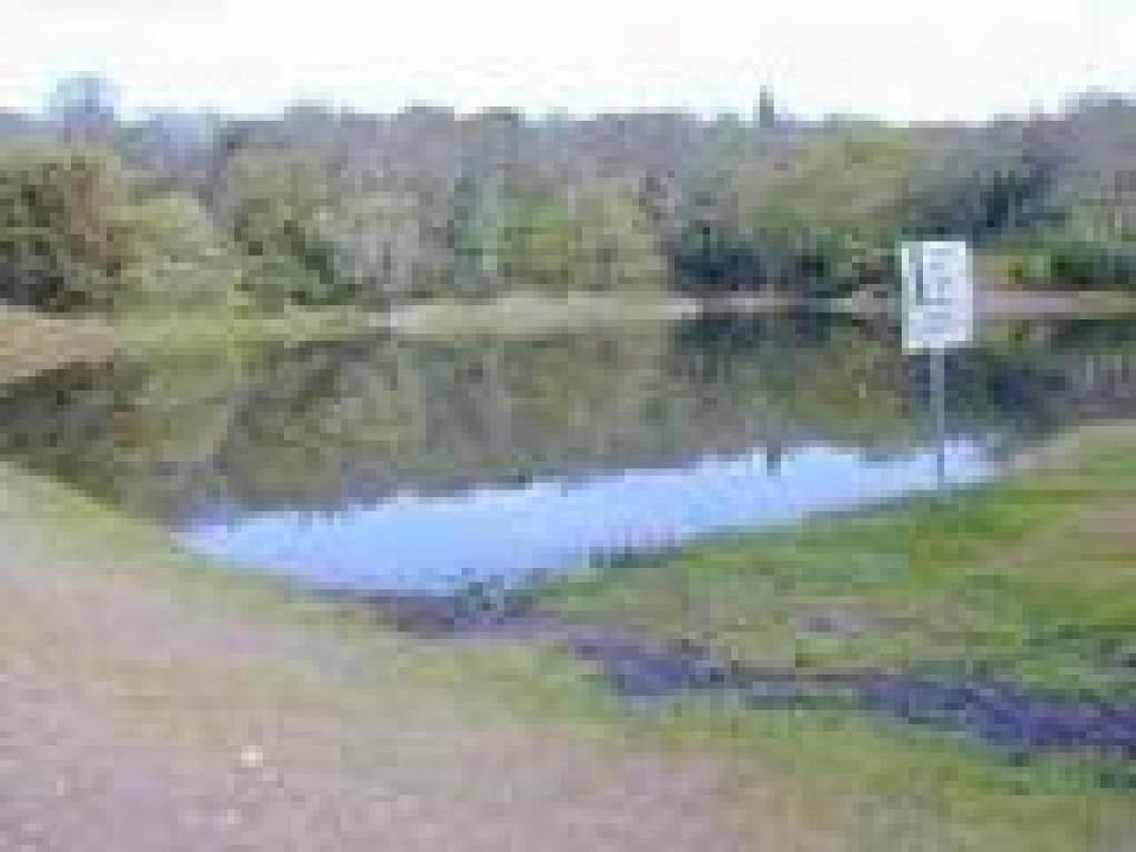 Pond