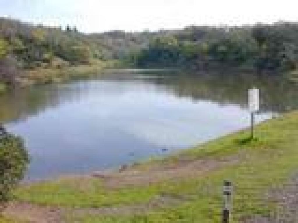 Pond