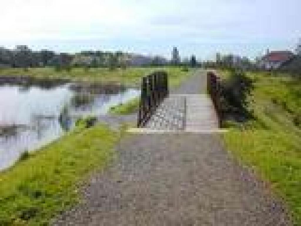 Bridge
