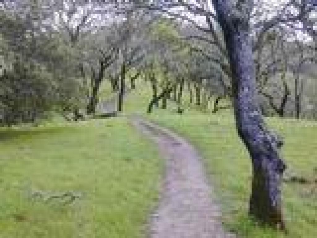 Alta Vista Trail